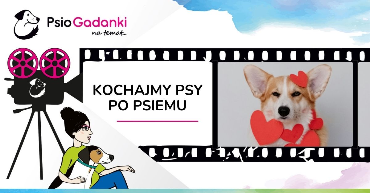 Kochajmy psy po psiemu