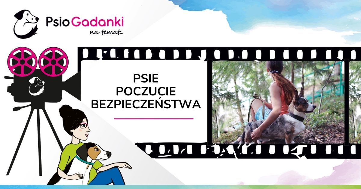 Psie poczucie bezpieczeństwa