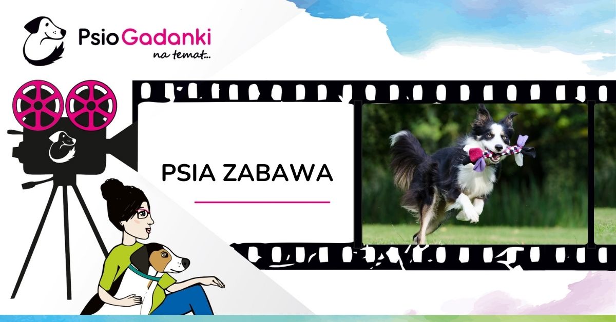 PSIOGADANKI_PSIA ZABAWA