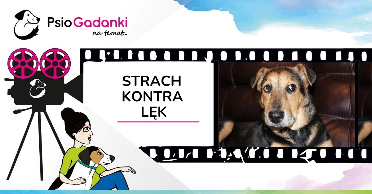 Psiogadanki: Strach kontra lęk