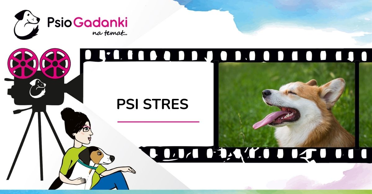 Psiogadanki-Psi stres