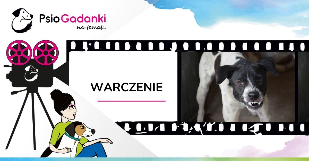 Psiogadanki - warczenie