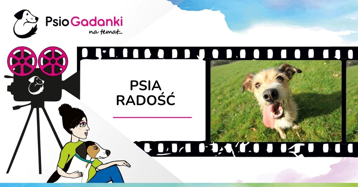 Psiogadanki_Psia Radość