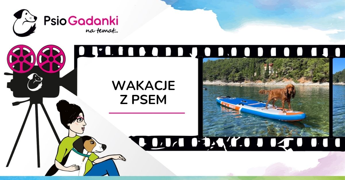 PSIOGADANKI_WAKACJE Z PSEM